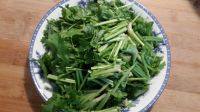 绿色食物香菜炒肉丝做法图解1)