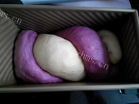 自制双色吐司做法图解8)
