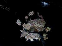家常菜荷兰豆炒瘦肉做法图解3)