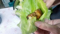 美味的煎五花肉