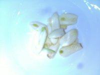 下酒菜五香蚕豆做法图解1)