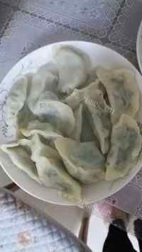 茴香鸡蛋饺子做法图解15)