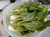 家常菜香菇扒菜胆做法图解1)