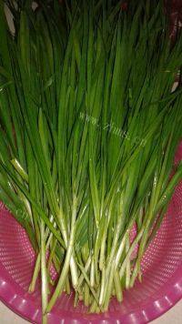 玉米韭菜饺子做法图解1)