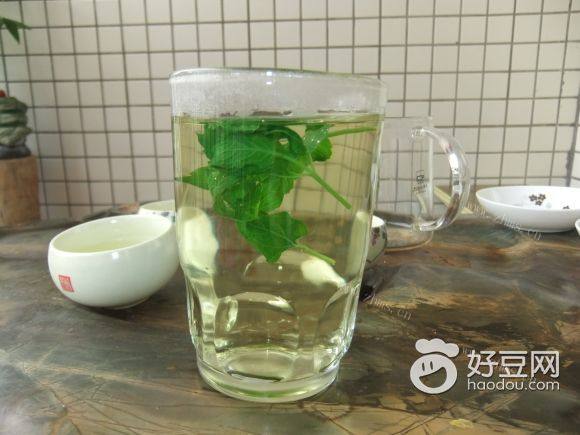 薄荷竹叶茶