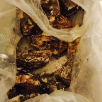 垂涎欲滴的烤生蚝做法图解1)