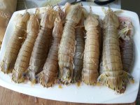 珍馐美味的清蒸皮皮虾做法图解3)