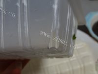 色泽鲜亮的皮蛋豆腐做法图解3)