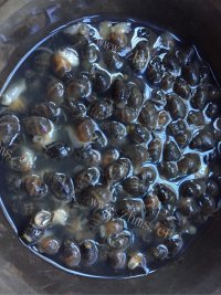 美味的炒织纹螺做法图解1)