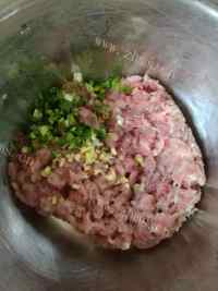 自制豆腐肉饼做法图解1)