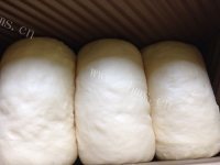 芳香四溢的牛奶吐司做法图解9)