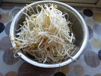 垂涎欲滴的豆芽炒韭菜做法图解1)