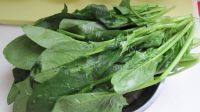 家常菜凉拌菠菜粉丝做法图解1)