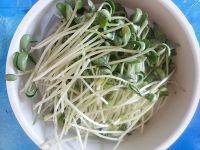 家常菜清炒黑豆苗做法图解2)