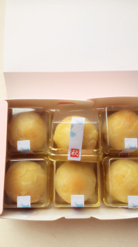 自制鲜肉月饼
