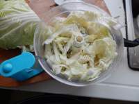 白菜猪肉煎饺做法图解2)