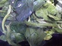 家常菜清炒菠菜做法图解4)