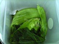 自制酸菜做法图解2)