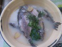 家常菜炖鲫鱼