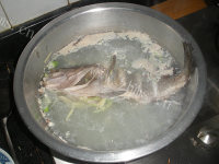 鲜美豉汁蒸石斑鱼的做法图解八