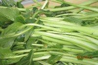 家常菜清炒苔菜做法图解1)