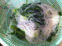 简单的凉拌菠菜粉丝做法图解5)
