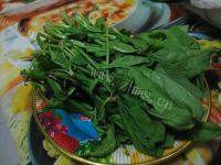 家常炒菠菜做法图解1)
