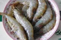 美味的微波番茄虾做法图解1)