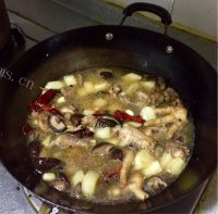 DIY大盘鸡做法图解8)