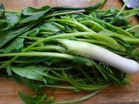 健康美食之清炒菠菜做法图解1)