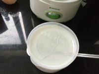 自制希腊酸奶做法图解1)