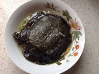 家常菜清蒸甲鱼