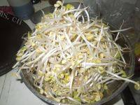 清淡的豆芽汤做法图解1)