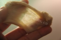 自制抹茶双色吐司做法图解9)