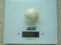 自制冰皮月饼做法图解11)