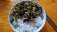 家常菜榄菜肉末四季豆