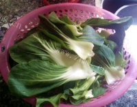 家常菜香菇炒青菜做法图解1)
