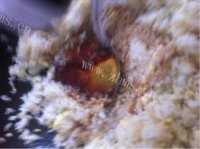 喷香的酱油炒饭做法图解6)