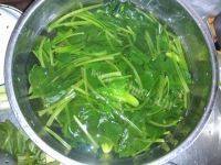 家常凉拌菠菜做法图解4)