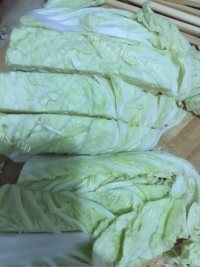 DIY白菜炖粉条做法图解1)
