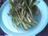 美味的蒜蓉菜心做法图解2)