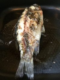绵茵陈鲫鱼汤做法图解5)
