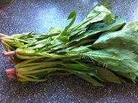 诱人的菠菜炒粉丝做法图解1)