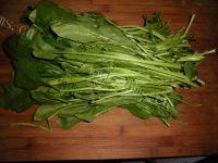 糖醋菠菜（简单版）做法图解1)