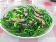 「健康美食」香菇青菜