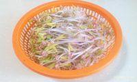 鲜美的凉拌绿豆芽做法图解6)