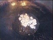 家常菜清炒番薯藤做法图解3)