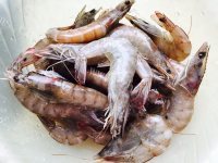 好吃的麻辣鲜虾抄手做法图解1)