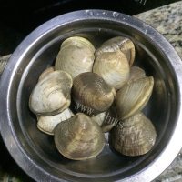 吃货推荐猪骨火锅做法图解3)