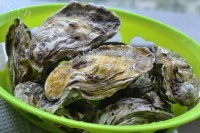 美味的蒜蓉烤生蚝做法图解1)